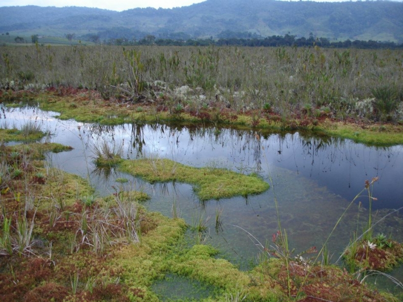 Foto de La Argentina, Huila en Colombia