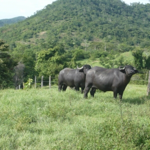 Foto de Altos Del Rosario, Bolívar