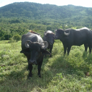 Foto de Altos Del Rosario, Bolívar