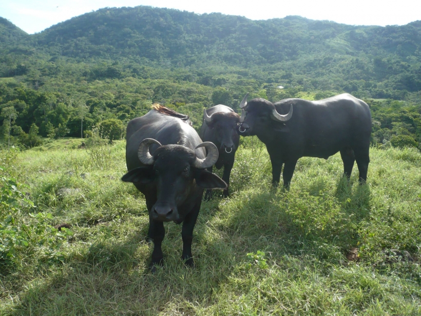 Foto de Altos Del Rosario, Bolívar en Colombia