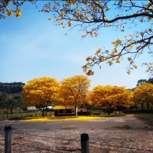 Foto de Simití, Bolívar