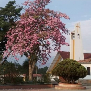 Foto de Almeida, Boyacá