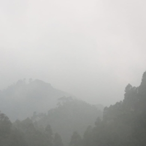 Foto de Marquetalia, Caldas