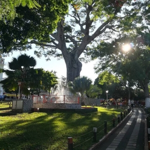 Foto de Victoria, Caldas