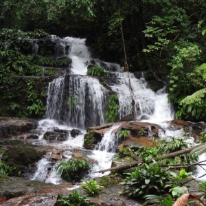 Foto de La Montañita, Caquetá