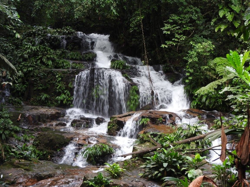 Foto de La Montañita, Caquetá en Colombia