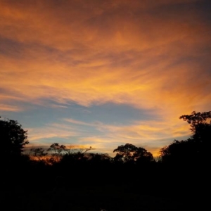 Foto de Pore, Casanare