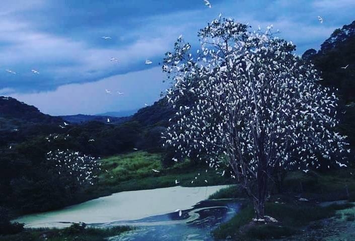 Foto de Pore, Casanare en Colombia