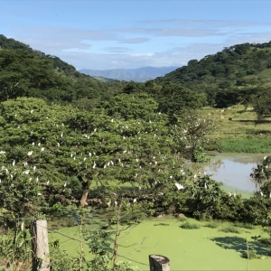 Foto de Pore, Casanare