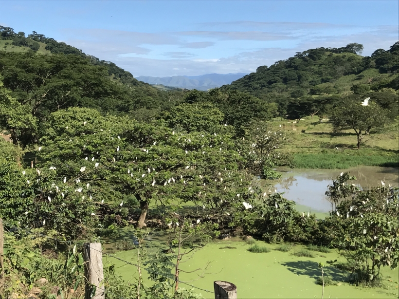 Foto de Pore, Casanare en Colombia