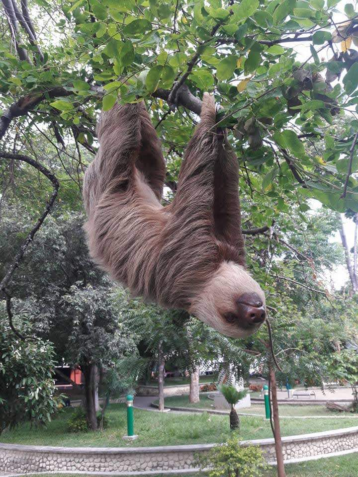 Foto de San Alberto, Cesar en Colombia