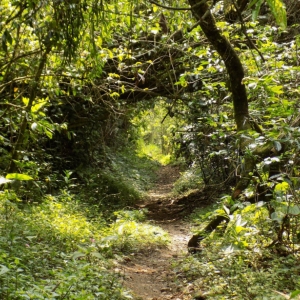 Foto de Amagá, Antioquia