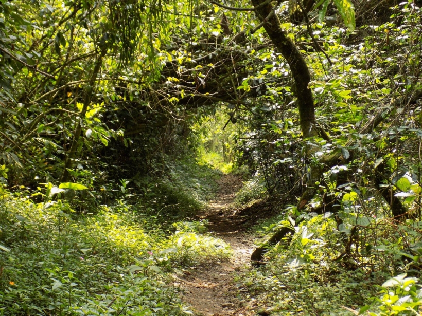 Foto de Amagá, Antioquia en Colombia