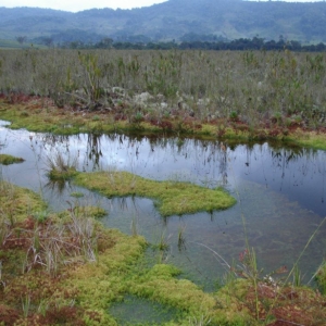 Foto de La Argentina, Huila