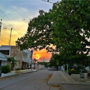 Foto de El Molino, La Guajira