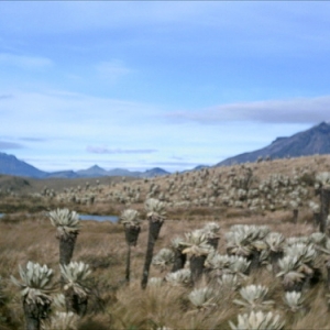 Foto de Cumbal, Nariño