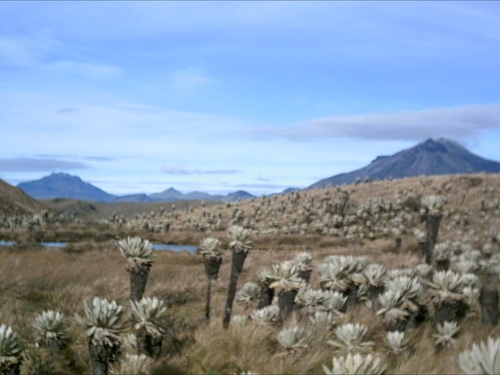 Foto de Cumbal, Nariño en Colombia